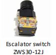 Escalator Switch ZWS 30 -12 J